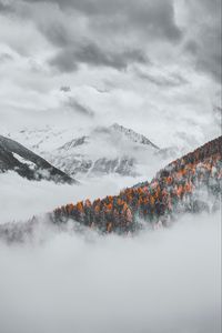 Preview wallpaper mountains, clouds, snowy, forest, landscape