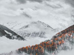 Preview wallpaper mountains, clouds, snowy, forest, landscape