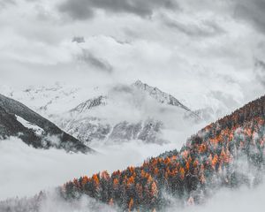 Preview wallpaper mountains, clouds, snowy, forest, landscape