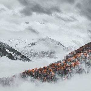 Preview wallpaper mountains, clouds, snowy, forest, landscape