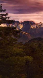 Preview wallpaper mountains, clouds, spruce