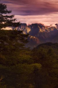 Preview wallpaper mountains, clouds, spruce