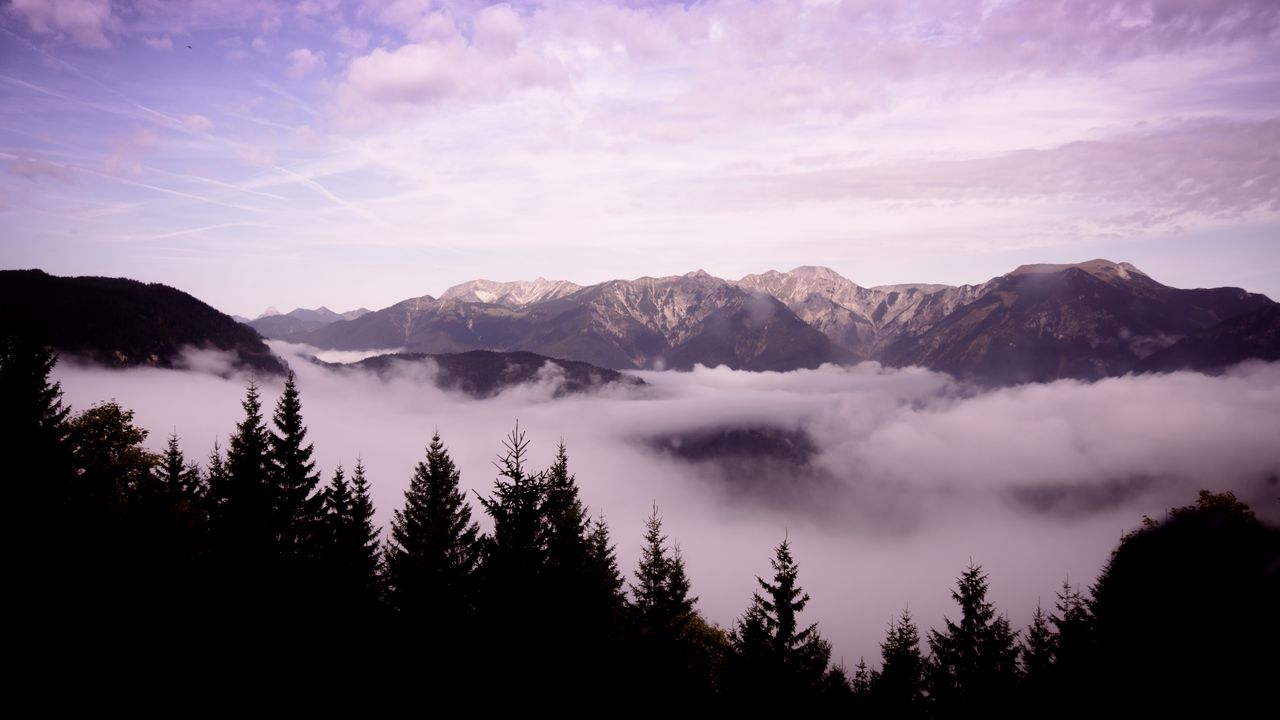 Wallpaper mountains, clouds, trees, landscape, high