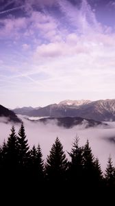 Preview wallpaper mountains, clouds, trees, landscape, high