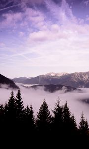 Preview wallpaper mountains, clouds, trees, landscape, high