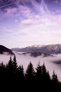 Preview wallpaper mountains, clouds, trees, landscape, high