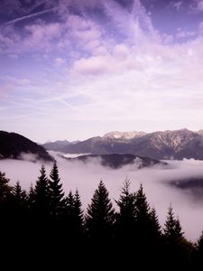 Preview wallpaper mountains, clouds, trees, landscape, high