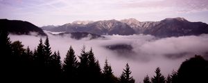 Preview wallpaper mountains, clouds, trees, landscape, high