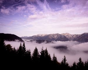 Preview wallpaper mountains, clouds, trees, landscape, high