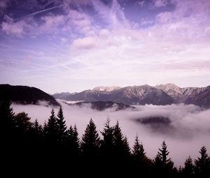 Preview wallpaper mountains, clouds, trees, landscape, high