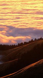 Preview wallpaper mountains, clouds, trees, coniferous