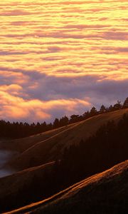 Preview wallpaper mountains, clouds, trees, coniferous