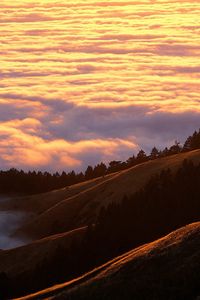 Preview wallpaper mountains, clouds, trees, coniferous