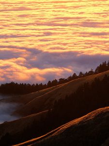 Preview wallpaper mountains, clouds, trees, coniferous