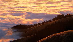 Preview wallpaper mountains, clouds, trees, coniferous