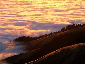 Preview wallpaper mountains, clouds, trees, coniferous