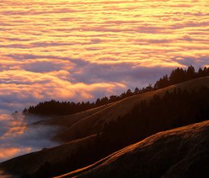 Preview wallpaper mountains, clouds, trees, coniferous