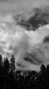 Preview wallpaper mountains, clouds, trees, black and white, landscape