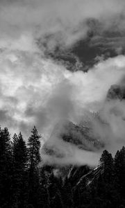 Preview wallpaper mountains, clouds, trees, black and white, landscape