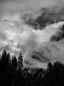 Preview wallpaper mountains, clouds, trees, black and white, landscape