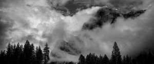 Preview wallpaper mountains, clouds, trees, black and white, landscape