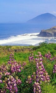 Preview wallpaper mountains, coast, sea, waves, flowers, greens