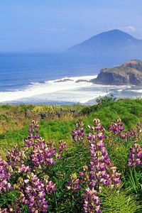 Preview wallpaper mountains, coast, sea, waves, flowers, greens