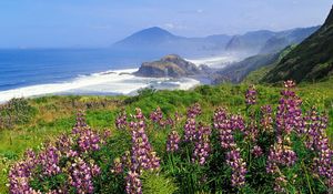 Preview wallpaper mountains, coast, sea, waves, flowers, greens