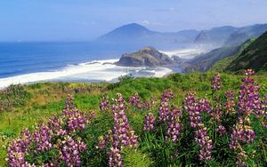 Preview wallpaper mountains, coast, sea, waves, flowers, greens