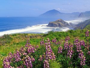 Preview wallpaper mountains, coast, sea, waves, flowers, greens