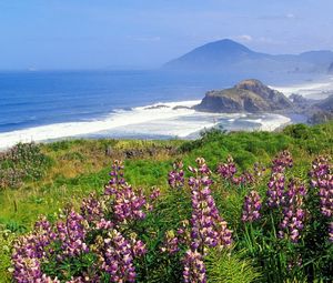 Preview wallpaper mountains, coast, sea, waves, flowers, greens