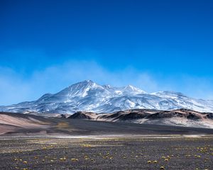 Preview wallpaper mountains, field, flowers, foothills, landscape