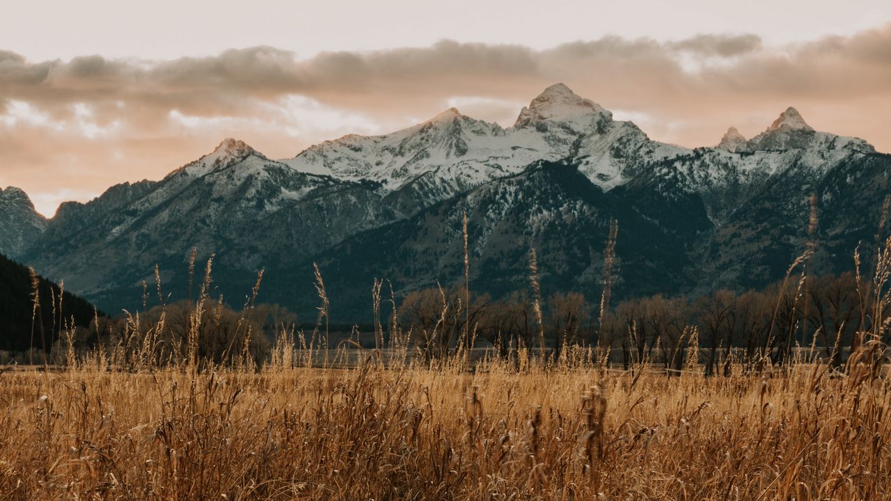 Wallpaper mountains, field, grass, landscape, nature