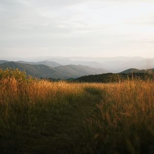 Preview wallpaper mountains, field, valley, fog, nature
