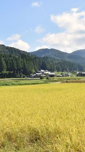 Preview wallpaper mountains, field, village, landscape