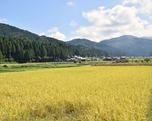 Preview wallpaper mountains, field, village, landscape