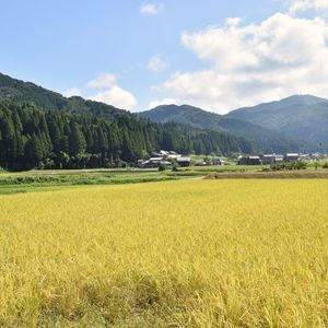 Preview wallpaper mountains, field, village, landscape