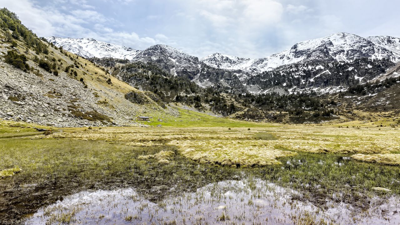 Wallpaper mountains, field, water, nature