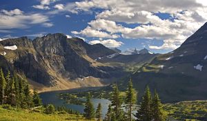 Preview wallpaper mountains, fir-trees, river