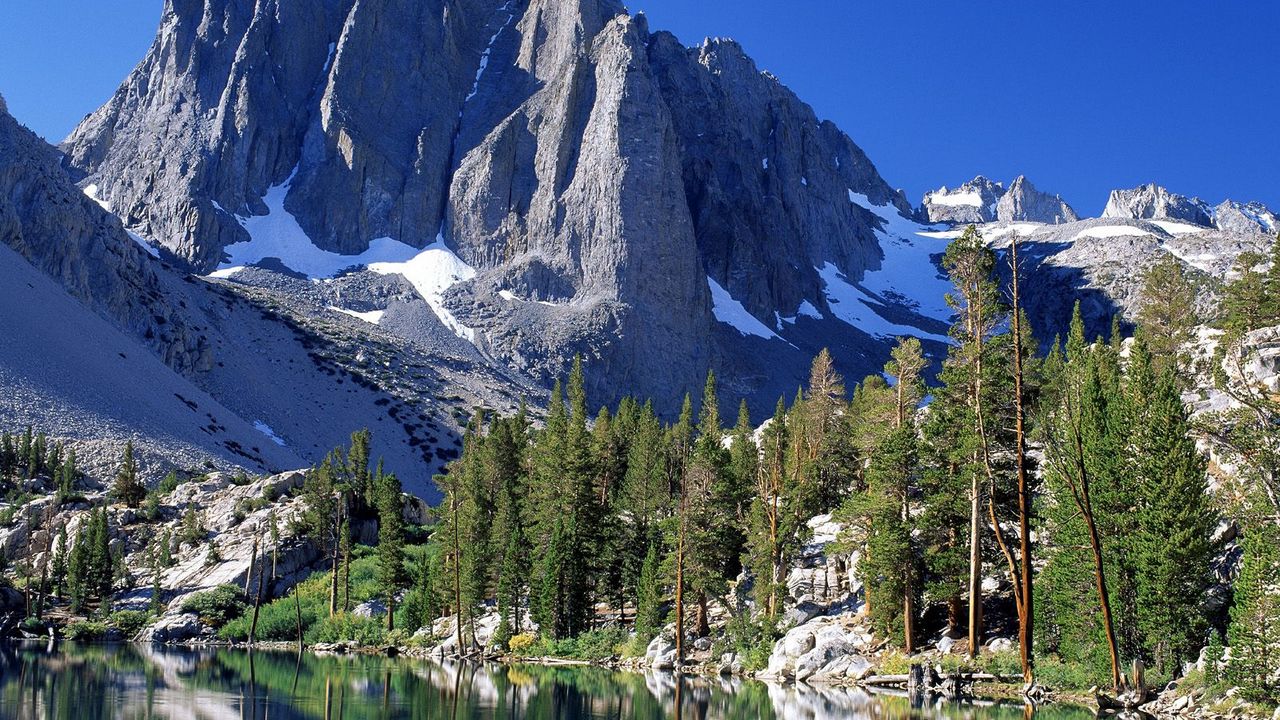 Wallpaper mountains, fir-trees, snow, california