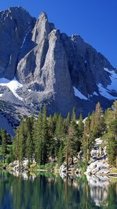 Preview wallpaper mountains, fir-trees, snow, california