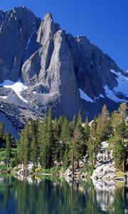 Preview wallpaper mountains, fir-trees, snow, california