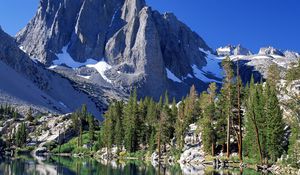 Preview wallpaper mountains, fir-trees, snow, california