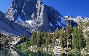 Preview wallpaper mountains, fir-trees, snow, california