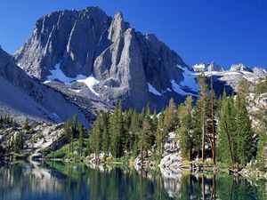 Preview wallpaper mountains, fir-trees, snow, california