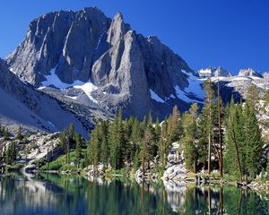 Preview wallpaper mountains, fir-trees, snow, california