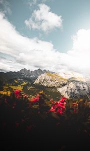Preview wallpaper mountains, flowers, clouds, peaks, height