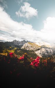 Preview wallpaper mountains, flowers, clouds, peaks, height