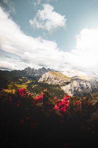 Preview wallpaper mountains, flowers, clouds, peaks, height