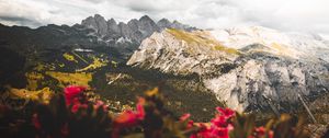 Preview wallpaper mountains, flowers, clouds, peaks, height